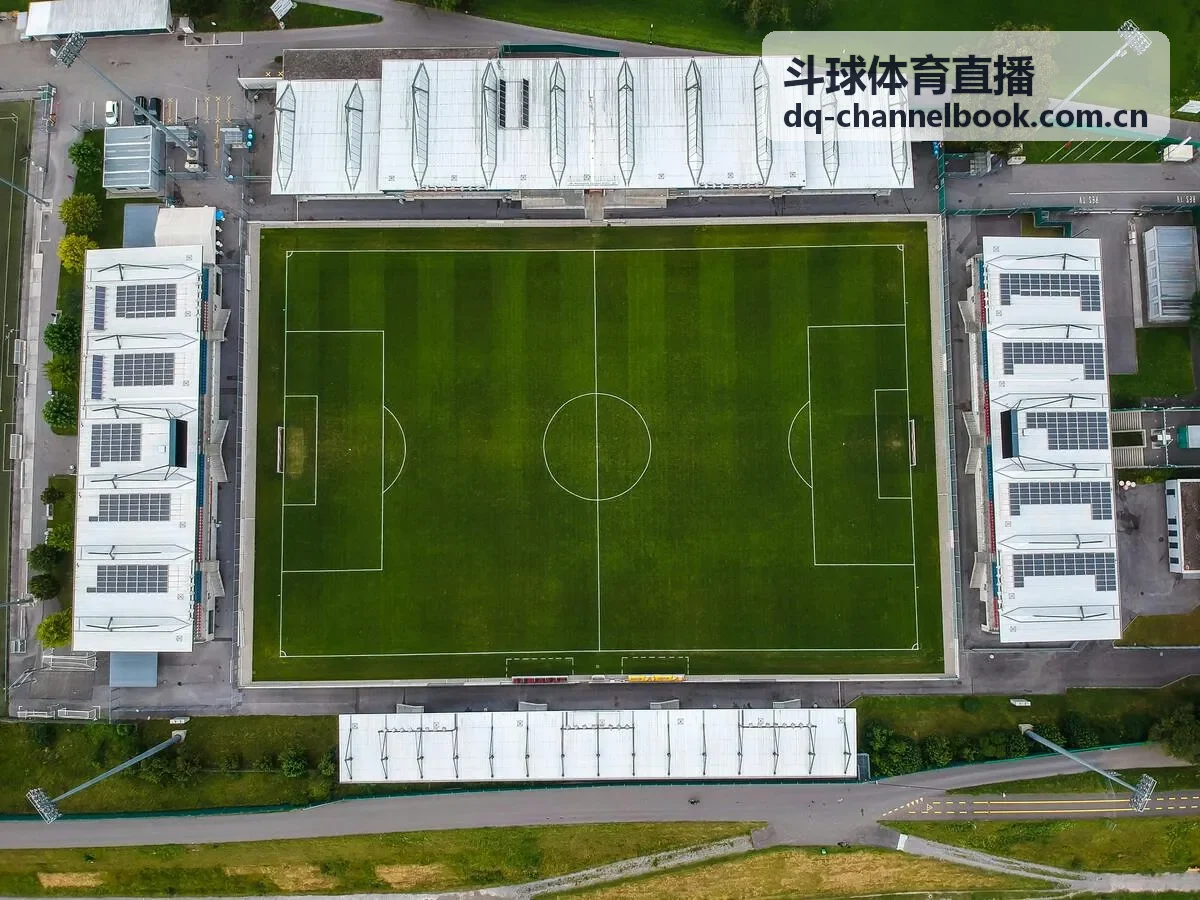 斗球体育直播CBA焦点战辽宁对广东